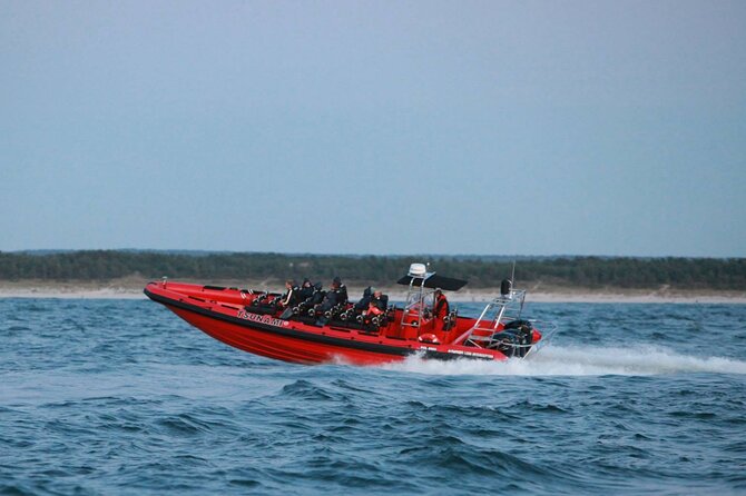 Whale Watching by RIB Speedboat from Downtown Reykjavik - My honest take: the best parts are the closeness and the pace
