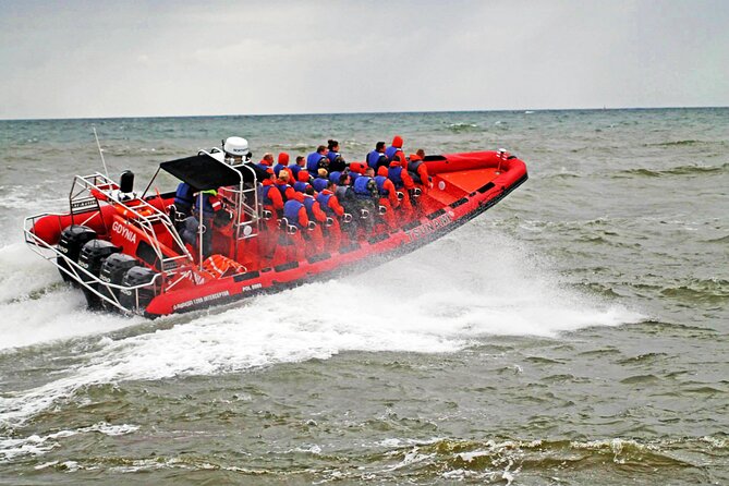 Whale Watching by RIB Speedboat from Downtown Reykjavik - The 2-hour plan: what happens, what you’ll see, and where the tradeoffs are