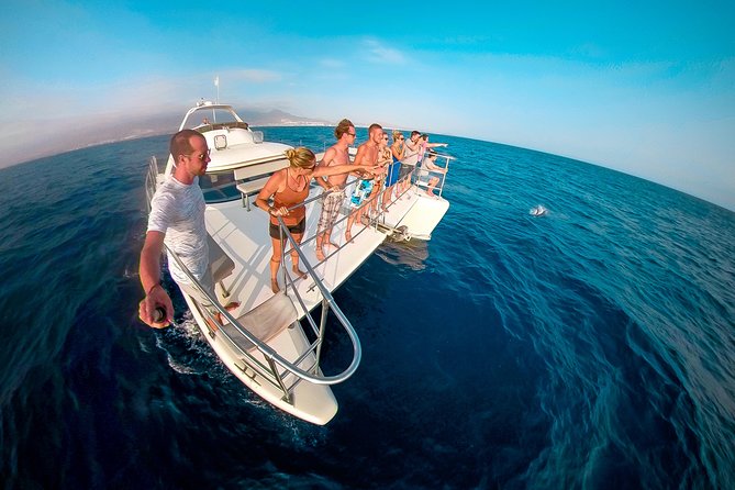 Whale Watching Catamaran Cruise with Transfer, Buffet by MC - Key Things to Know Before You Go