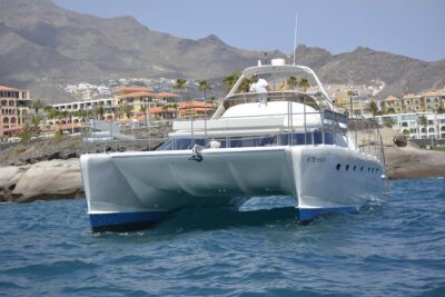 Whale Watching Catamaran Cruise with Transfer, Buffet by MC - Transfer on Request: Why This Little Detail Matters