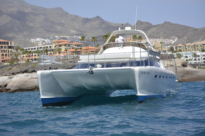 Whale Watching Catamaran Cruise with Transfer, Buffet by MC - Transfer on Request: Why This Little Detail Matters