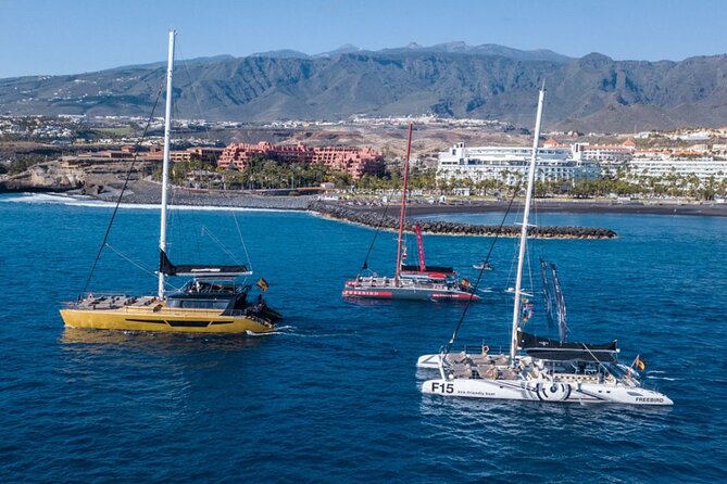 Whale Watching Catamaran in Costa Adeje (Including drinks & Sandwich) - Crew and Communication: English, Spanish, and Keeping Things Clear