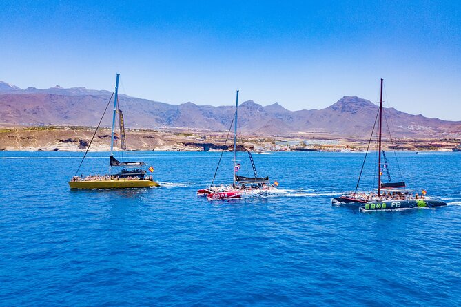 Whale Watching Catamaran in Costa Adeje (Including drinks & Sandwich) - Photos, Photos Sales, and Other On-Board Add-Ons