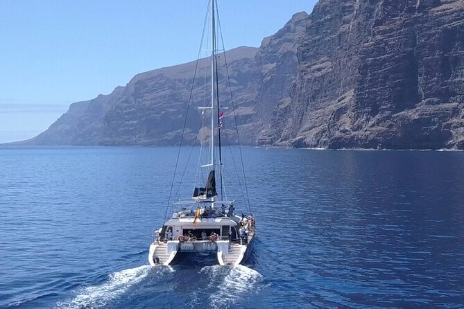 Whale Watching Catamaran to Los Gigantes & Masca (Including drinks & warm lunch) - Key things you should notice before you go