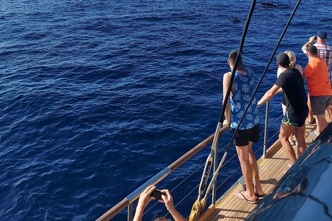 Whale Watching Catamaran to Los Gigantes & Masca (Including drinks & warm lunch) - Sun beds, deck time, and beating the wind and motion