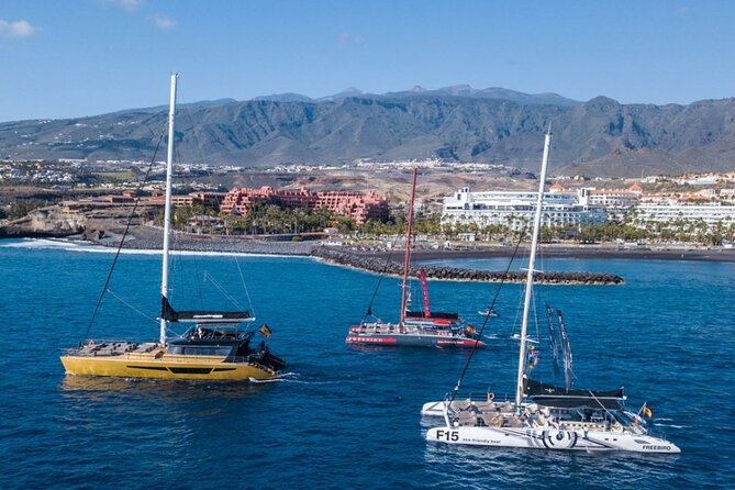 Whale Watching Catamaran to Los Gigantes & Masca (Including drinks & warm lunch) - The small logistics that can make or break your boarding