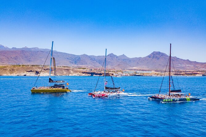Whale Watching Catamaran to Los Gigantes & Masca (Including drinks & warm lunch) - Who should book the Tenerife whale and dolphin catamaran—and who shouldn’t