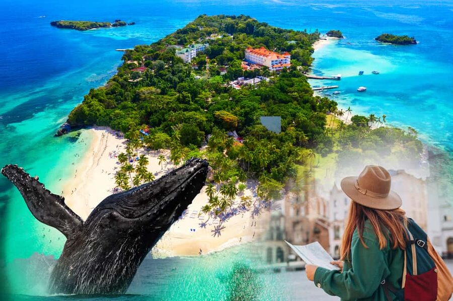 Whale Watching + Cayo Levantado - On the water: what the whale watching part is really like