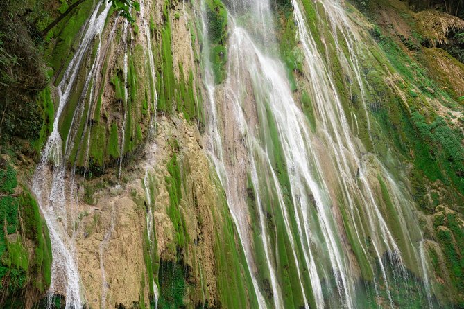 Whale Watching, Cayo Levantado and Limón Waterfall in Samaná - La Canita breakfast and the catamaran start you’ll feel in your morning