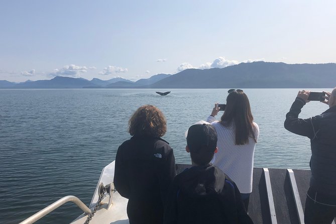 Whale Watching Charters and Bear search through Icy Strat Alaska - What you might see: humpbacks, bears, sea otters, and the Icy Strait food web