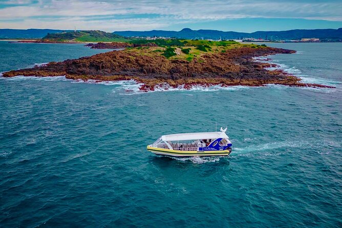 Whale Watching Cruise in New South Wales - Value for Money: Why This $56.66 Cruise Can Be a Smart Buy