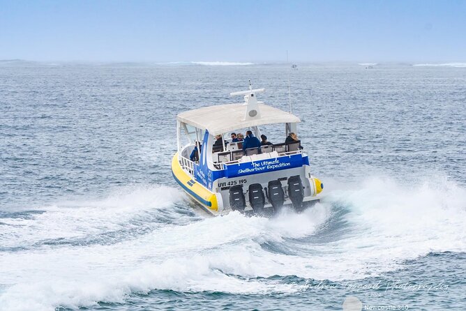 Whale Watching Cruise in New South Wales - Cancellation and Flexibility: Your Backup Plan