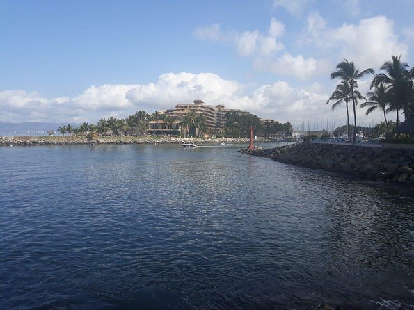Whale Watching Cruise In Puerto Vallarta & Nuevo Vallarta - Food and Open Bar: The Day Stops Feeling Like a Tour