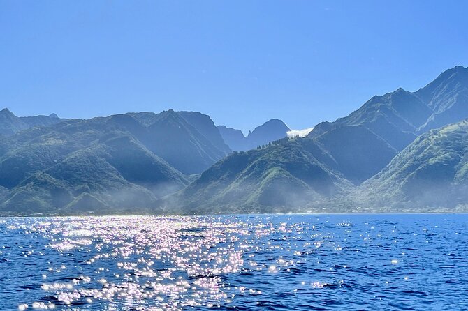 Whale watching DE Humpback West Coast of Tahiti - What the crew teaches you while you wait (because timing is everything)