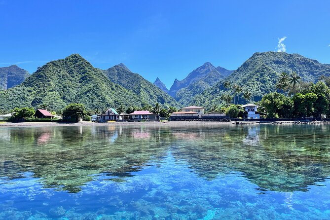 Whale watching DE Tahiti Peninsula - Key Highlights (What Makes This Tour Worth Your Time)