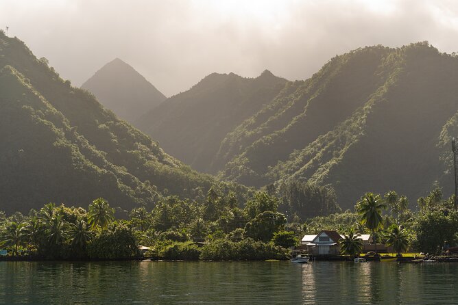 Whale watching DE Tahiti Peninsula - Price and Value for a 4-Hour Whale Day ($188.27)