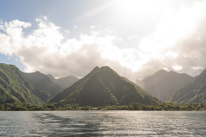 Whale watching DE Tahiti Peninsula - Who Should Book This Tour (and Who Should Consider Observing)
