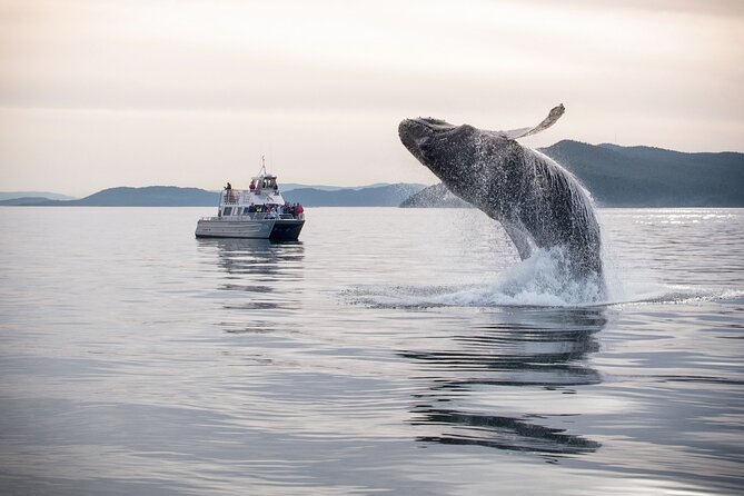 Whale Watching + Deception Pass Tour from Seattle - Deception Pass State Park: old-growth trails and tide-level beach time