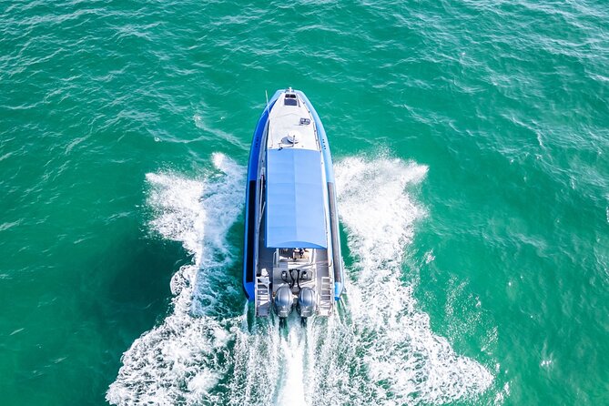 Whale Watching Discovery Tour from Lake Macquarie - The outbound cruise: Swansea Channel to Moon Island