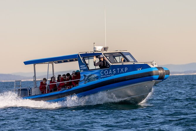 Whale Watching Discovery Tour from Lake Macquarie - Water-level viewing on the Hydro: comfort and control