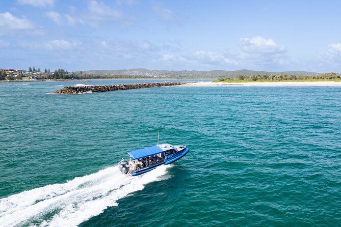 Whale Watching Discovery Tour from Lake Macquarie - Price and value: is $89.66 worth it?