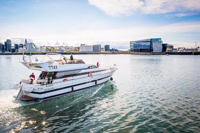 Whale Watching & Dolphin Yacht Cruise - Quick hits I’d plan around