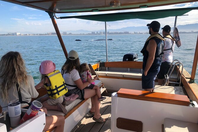 Whale Watching Experience – 4 Hours in Puerto Vallarta - Key Points That Matter Before You Go