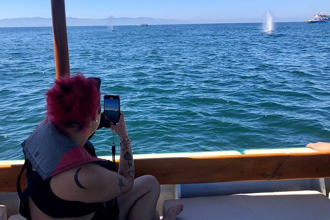 Whale Watching Experience – 4 Hours in Puerto Vallarta - Marine Biologist + Hydrophone: More Than Just Spotting Whales