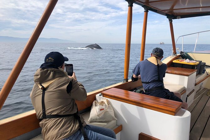 Whale Watching Experience – 4 Hours in Puerto Vallarta - What’s Included: Snacks on a Boat, Food That Actually Holds Up