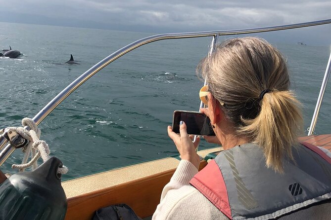 Whale Watching Experience – 4 Hours in Puerto Vallarta - Value for $149.44: When Does This Price Make Sense?