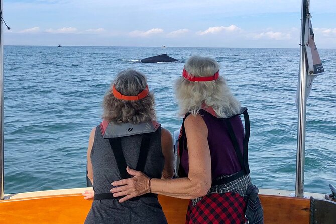 Whale Watching Experience – 4 Hours in Puerto Vallarta - How the 4 Hours Typically Flow on the Water