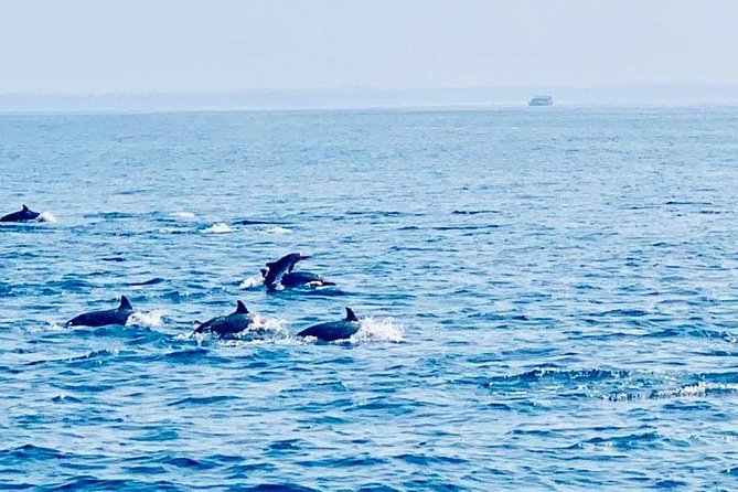 Whale Watching Experience in Mirissa - Mirissa at 6:00 am: the start that shapes your whole day