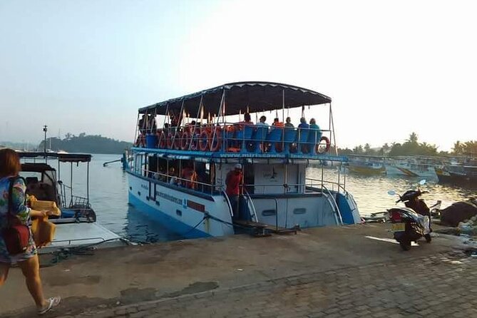 Whale Watching Experience in Mirissa - Price and value: is $70 worth it in Mirissa?