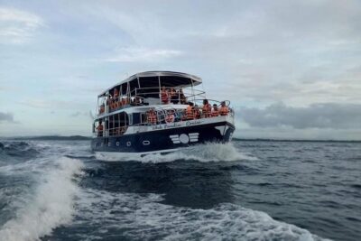 Whale Watching Experience in Mirissa - Your hunt list: whales and sea life you might spot