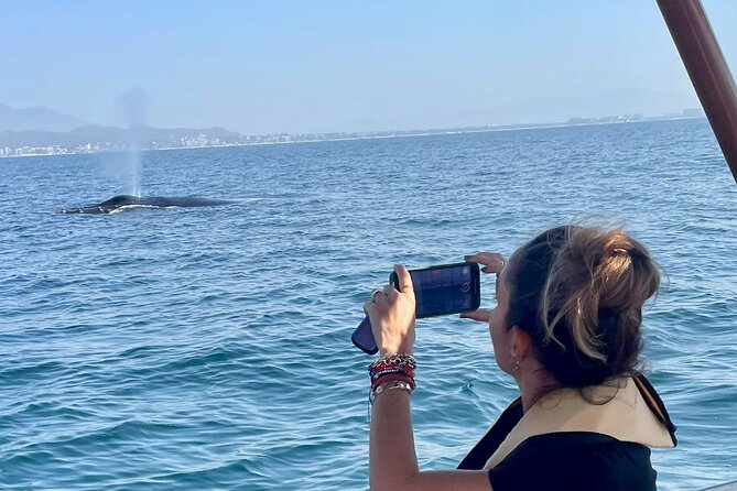 Whale Watching Experience in Puerto Vallarta - Key highlights you’ll care about