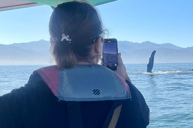 Whale Watching Experience in Puerto Vallarta - A whale tour that feels regulated, not improvised