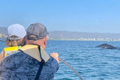 Whale Watching Experience in Puerto Vallarta - The hydrophone: hearing whale and dolphin vocalizations