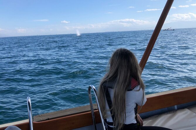 Whale Watching Experience in Puerto Vallarta - Bruna comfort: shade, restroom, and the included snacks