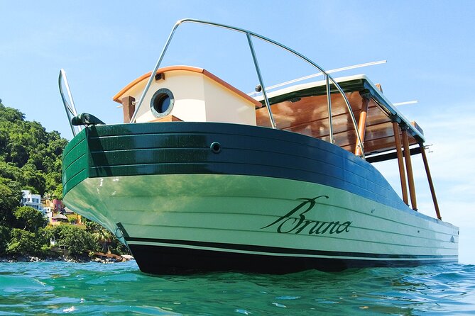 Whale Watching Experience in Puerto Vallarta - Price and value: why $148.66 can make sense