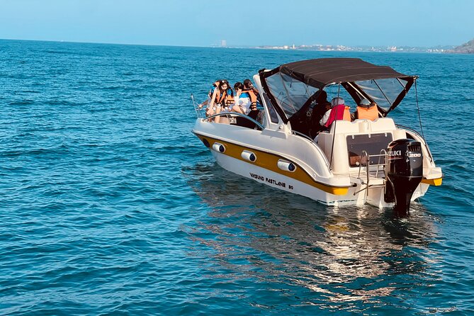 Whale Watching From Colombo - Key Takeaways Before You Go