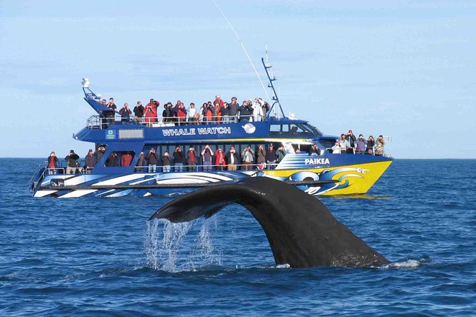 Whale Watching From Colombo - Colombo Context Stops: A Taste of Portuguese, Dutch, British Legacy