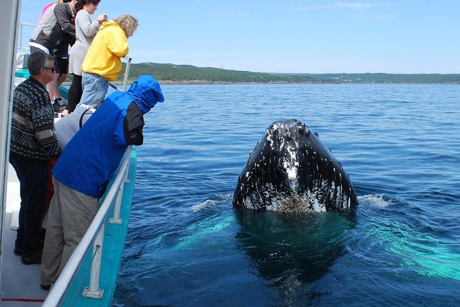 Whale Watching From Colombo - Boat Crew, Realistic Expectations, and a Note on Group Size