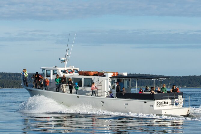 Whale Watching from Friday Harbor - MV Sea Lion Comfort: Fast, Heated, and Built for Watching