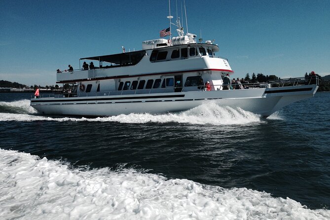 Whale Watching from Friday Harbor - Price and Value: Is $135 Worth It?