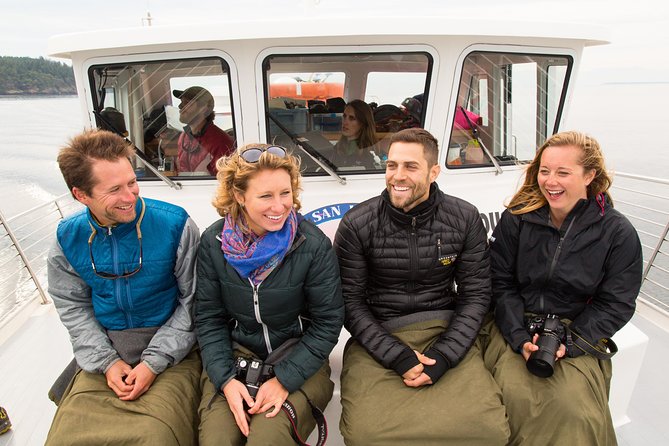 Whale Watching from Friday Harbor - Who This Tour Suits Best