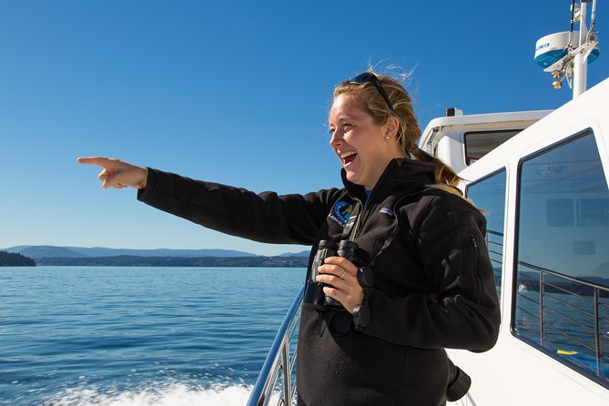 Whale Watching from Friday Harbor - San Juan Island Waters: The Orca Meal Trail Makes the Difference