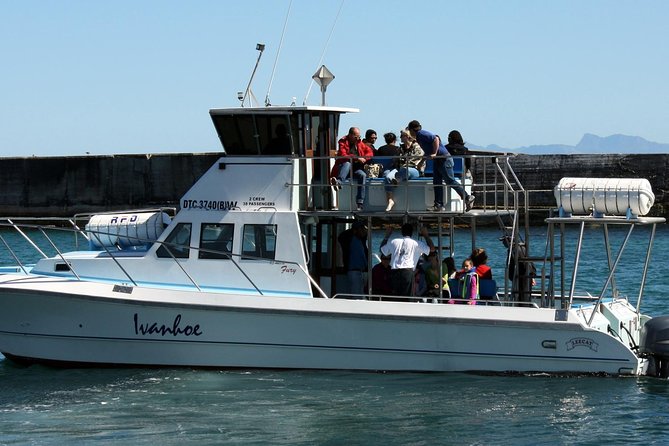 Whale Watching from Gansbaai - Packing Like a Gansbaai Pro: Cold Water, Sharp Light, Good Sight