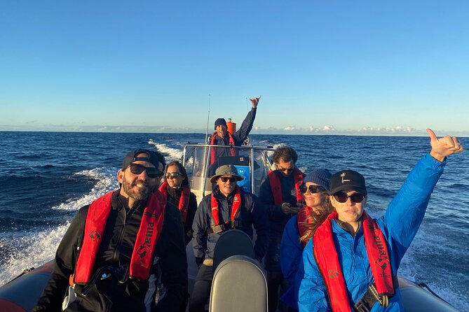 Whale Watching Gold Coast - Gold Coast stop: more chances, better angles, and real coastal scenery