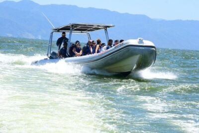 Whale Watching Guaranteed Experience in Puerto Vallarta - Meeting point math: where cruise passengers check in (and why local time matters)