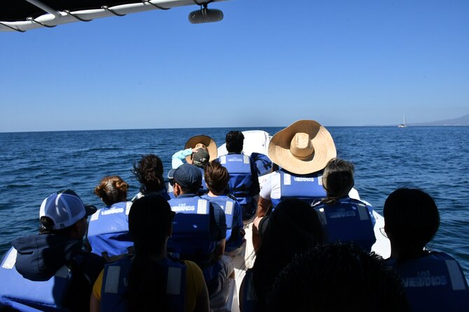 Whale Watching Guaranteed Experience in Puerto Vallarta - Small boat reality check: seating, movement, and sightlines